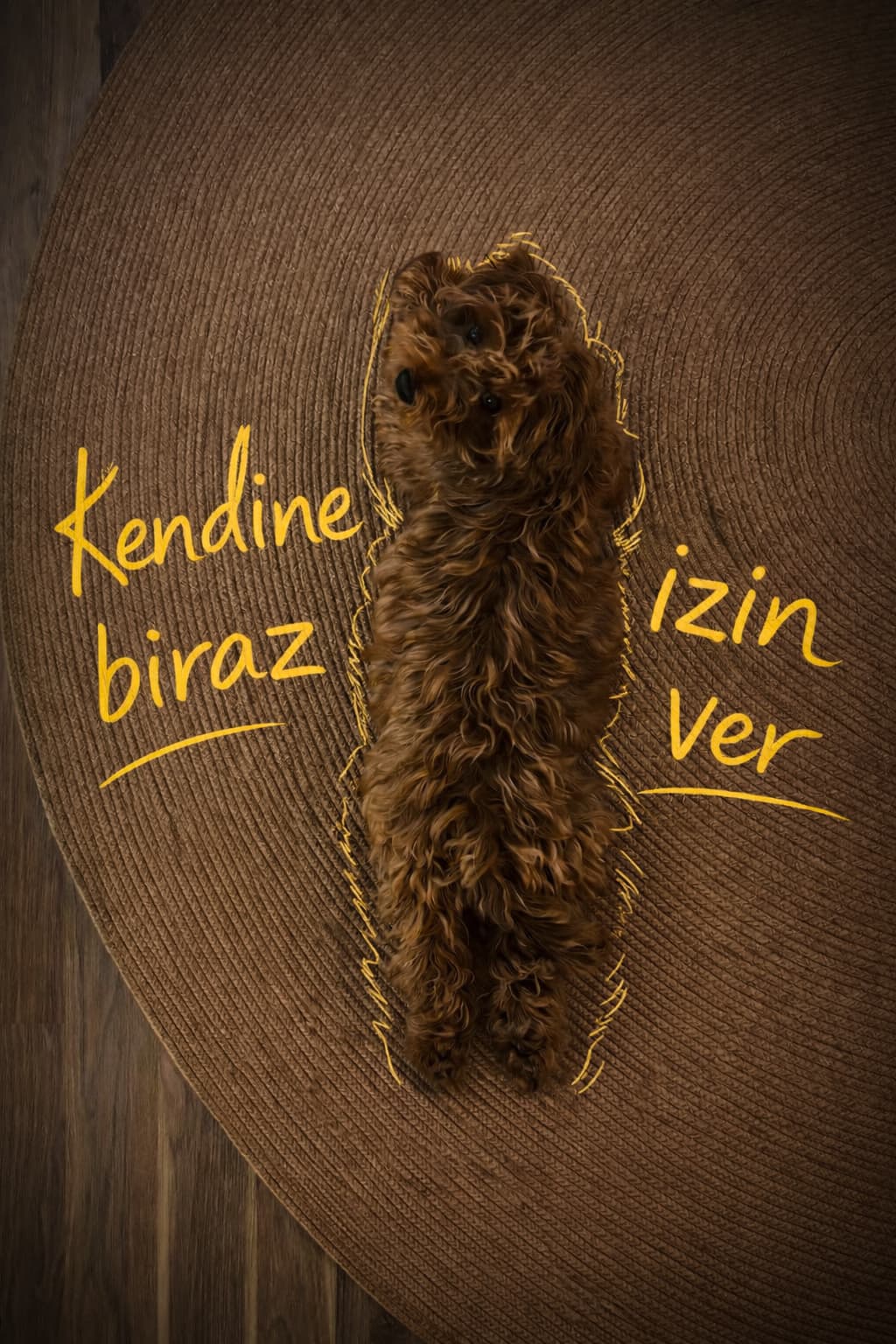 Mono — Mete Psikoloji ofis arkadaşı Maltipoo